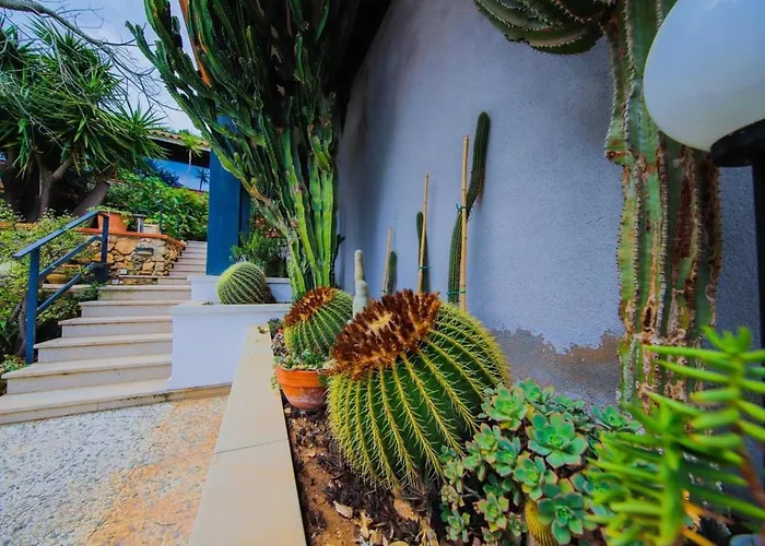 Rosa Bianca 巴勒莫